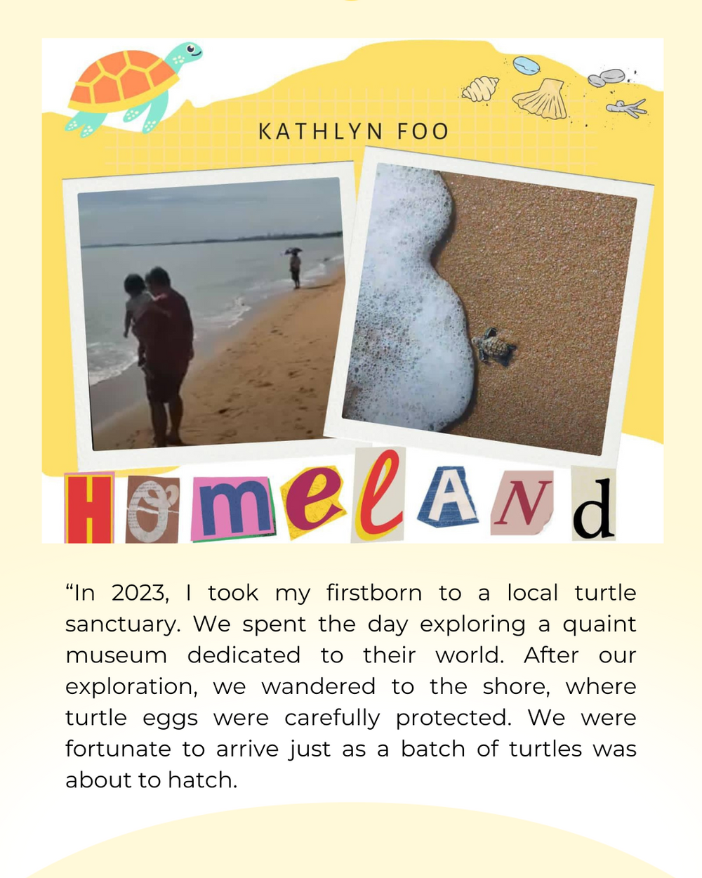 Journey Home Puzzle Toy