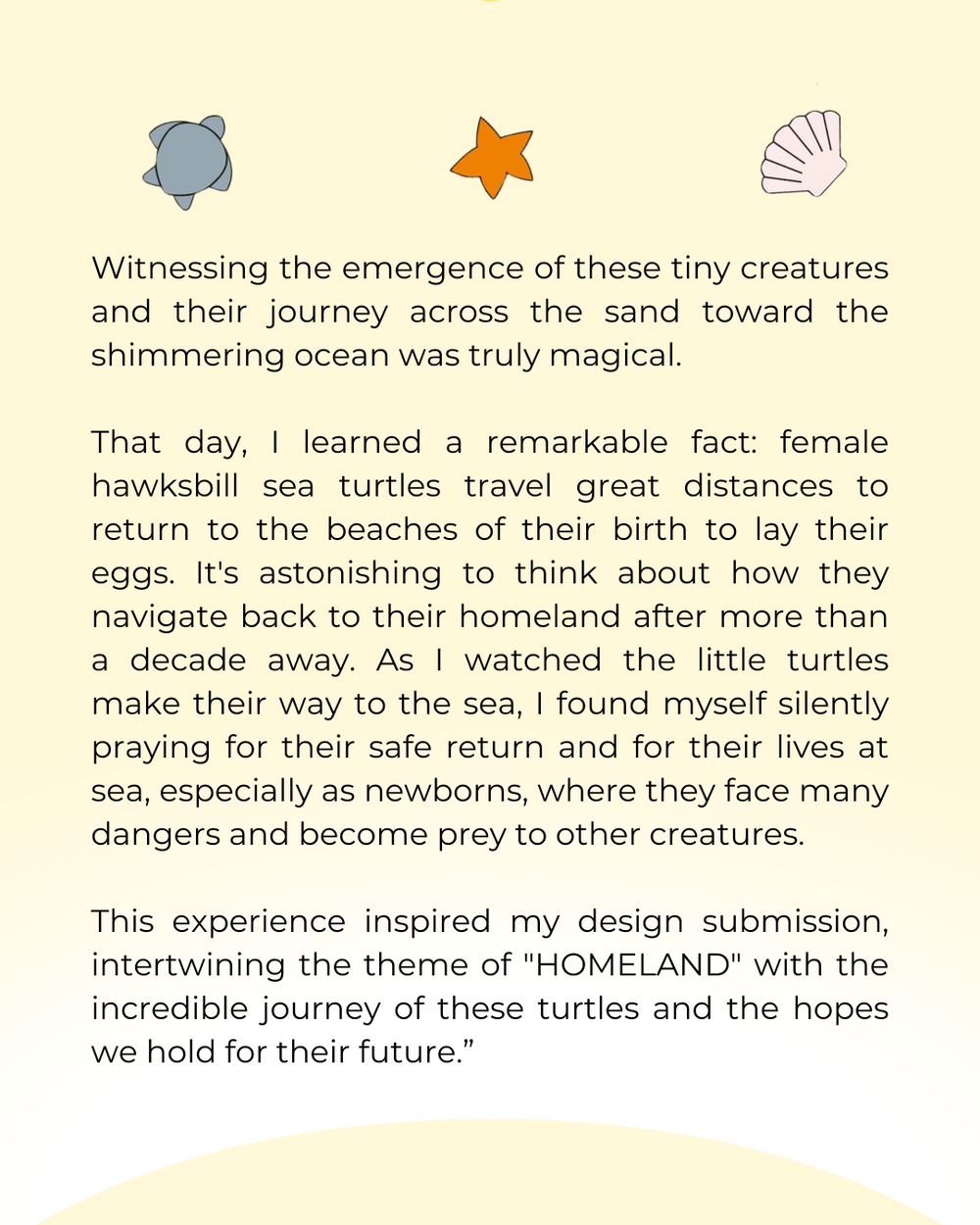 Journey Home Puzzle Toy