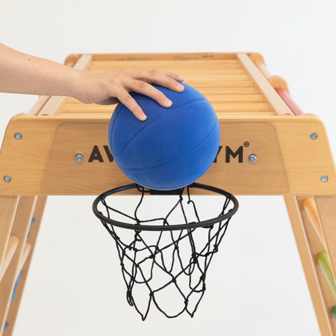 Little basketball hoop