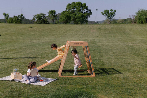 Rainbow Climber Set