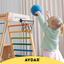 Little basketball hoop